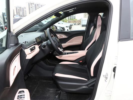 LiFePO4 Battery BYD Seagull Sea Gull Modern Auto Energy Electric Vehicle Buy Now
