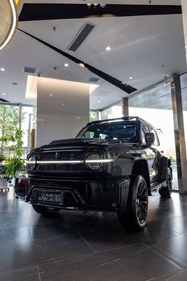 Maximum Power Ps 150-200Ps The Best Personal Vehicle Tank 300 for Off-Road Adventures